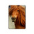 S1595 Beautiful Brown Horse Hard Case For iPad Air (2020, 2022), Air 11 (2024,2025,2026), Pro 11 (2022)