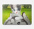 S3795 Kitten Cat Playful Siberian Husky Dog Paint Hard Case For MacBook Air 13″ (2022,2024) - A2681, A3113