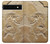 S0380 Dinosaur Fossil Case For Google Pixel 6a