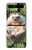 S3863 Pygmy Hedgehog Dwarf Hedgehog Paint Case For Samsung Galaxy Z Flip 5G