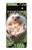 S3863 Pygmy Hedgehog Dwarf Hedgehog Paint Case For Google Pixel 6a