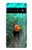 S3893 Ocellaris clownfish Case For Google Pixel 6 Pro