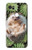 S3863 Pygmy Hedgehog Dwarf Hedgehog Paint Case For Google Pixel 2 XL