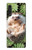 S3863 Pygmy Hedgehog Dwarf Hedgehog Paint Case For LG Velvet