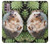 S3863 Pygmy Hedgehog Dwarf Hedgehog Paint Case For Motorola Moto G30, G20, G10