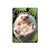 S3863 Pygmy Hedgehog Dwarf Hedgehog Paint Hard Case For iPad Air (2020, 2022), Air 11 (2024,2025,2026), Pro 11 (2022)