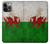 S2976 Wales Football Soccer Flag Case For iPhone 14 Pro