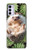 S3863 Pygmy Hedgehog Dwarf Hedgehog Paint Case For Motorola Moto G42
