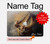 S1091 Rembrandt Christ in The Storm Hard Case For MacBook Air 15″ (2023,2024,2025) - A2941, A3114, A3241