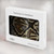 S2712 Anaconda Amazon Snake Skin Graphic Printed Hard Case For MacBook Air 15″ (2023,2024,2025) - A2941, A3114, A3241