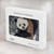 S3793 Cute Baby Panda Snow Painting Hard Case For MacBook Air 15″ (2023,2024,2025) - A2941, A3114, A3241