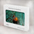 S3893 Ocellaris clownfish Hard Case For MacBook Air 15″ (2023,2024) - A2941, A3114