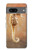 S2674 Seahorse Skeleton Fossil Case For Google Pixel 7a