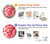 S0339 Brain Case For iPhone 15
