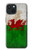 S2976 Wales Football Soccer Flag Case For iPhone 15
