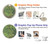 S3748 Van Gogh A Lane in a Public Garden Case For Motorola Moto G Stylus 5G (2024)