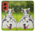 S3795 Kitten Cat Playful Siberian Husky Dog Paint Case For Motorola Moto G Stylus 5G (2024)