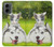 S3795 Kitten Cat Playful Siberian Husky Dog Paint Case For Motorola Moto G 5G (2024)