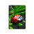 S0263 Ladybug Hard Case For iPad Pro 11 (2024,2025)