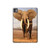 S0310 African Elephant Hard Case For iPad Pro 11 (2024,2025)