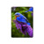 S1565 Bluebird of Happiness Blue Bird Hard Case For iPad Pro 11 (2024,2025)