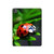 S0263 Ladybug Hard Case For iPad Pro 13 (2024,2025), Air 13 2026