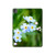 S1818 Forget Me Not Hard Case For iPad Pro 13 (2024,2025), Air 13 2026