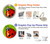 S0892 Ladybug Case For iPhone 5 5S SE