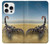 S0150 Desert Scorpion Case For iPhone 16 pro