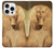 S1973 Sphinx Egyptian Case For iPhone 16 pro