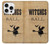 S2648 Vintage Halloween The Witches Ball Case For iPhone 16 pro