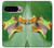 S1047 Little Frog Case For Google Pixel 9 Pro