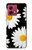 S2477 Daisy flower Case For Motorola Moto G84
