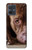 S0519 PitBull Face Case For Motorola Moto G54