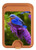 S1565 Bluebird of Happiness Blue Bird Magnetic Card Holder Wallet Stand with MagSafe for iPhone 16 15 14 13 Pro Max