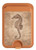 S3214 Seahorse Skeleton Fossil Magnetic Card Holder Wallet Stand with MagSafe for iPhone 16 15 14 13 Pro Max