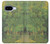 S3748 Van Gogh A Lane in a Public Garden Case For Google Pixel 9a