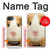 S1619 Cute Guinea Pig Case For iPhone 16e