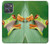 S1047 Little Frog Case For Motorola Moto G Power (2025,2026)