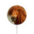 S1595 Beautiful Brown Horse Magnetic Wireless Charger Pad with MagSafe 15W for iPhone 16 15 14 13 12
