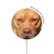 S2903 American Pitbull Dog Magnetic Wireless Charger Pad with MagSafe 15W for iPhone 16 15 14 13 12
