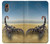 S0150 Desert Scorpion Case For Samsung Galaxy XCover7