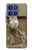S1386 Paper Sculpture Owl Case For Motorola Moto G Stylus 5G (2025,2026), Edge 60 Stylus
