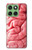 S0339 Brain Case For Motorola Edge 60