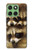 S0977 Baby Raccoons Case For Motorola Edge 60