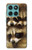 S0977 Baby Raccoons Case For Motorola Edge 60 Fusion