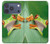 S1047 Little Frog Case For iPhone 17 Pro