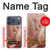 S2678 Hindu God Ganesha Lord of Success Case For iPhone 17 Pro