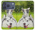 S3795 Kitten Cat Playful Siberian Husky Dog Paint Case For iPhone 17 Pro, 18 Pro