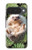 S3863 Pygmy Hedgehog Dwarf Hedgehog Paint Case For Google Pixel 10, 10 Pro